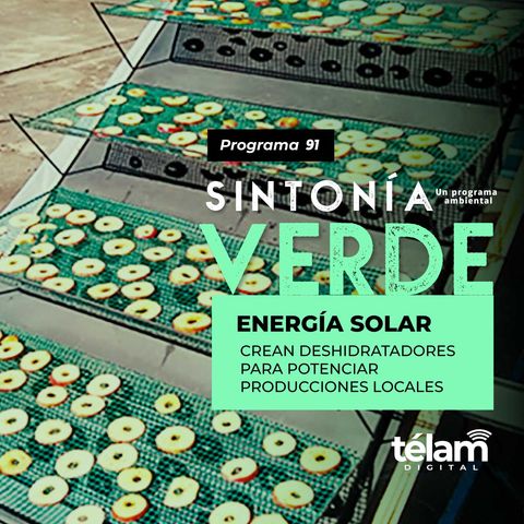 Energía solar: Crean deshidratadores para potenciar producciones locales