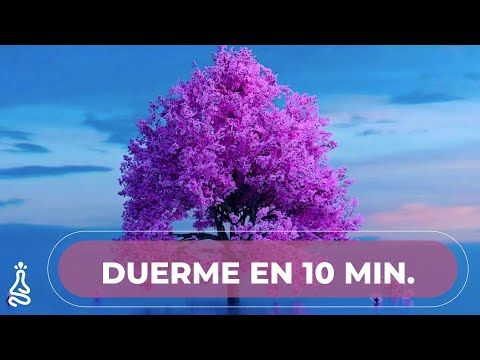 043. Meditación Guiada para Dormir en 10 minutos