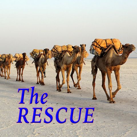 The Rescue, Genesis 14:13-16