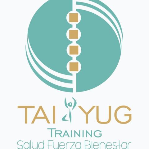 ¿Que es TAI YUG TRAINING?