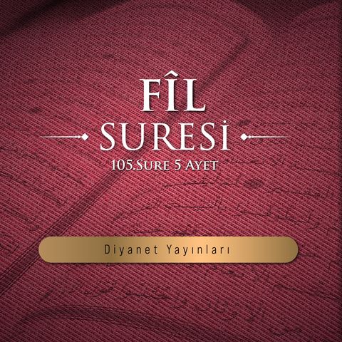 Fîl suresi