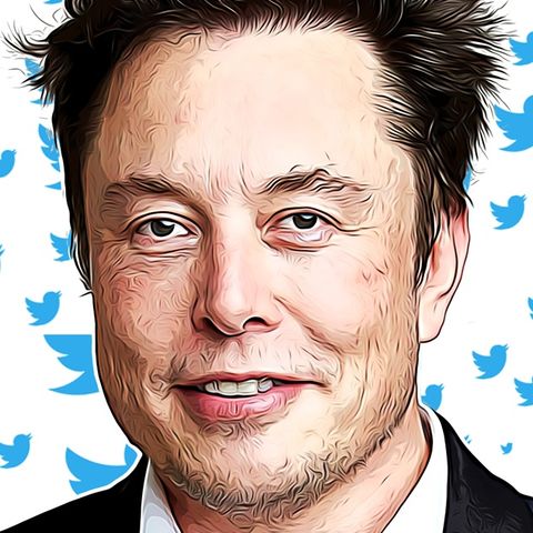 Has Elon freed the bird?