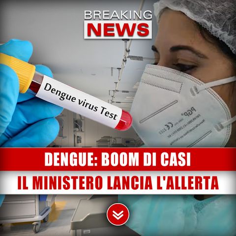Dengue, Boom Di Casi: Il Ministero Lancia L'Allerta!