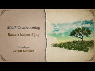 Melih Cevdet Anday   The Disturbed Tree