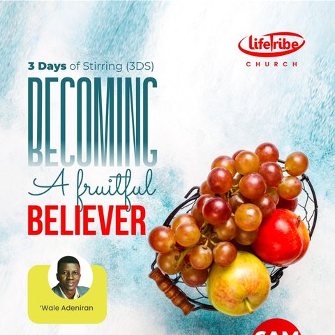 Becoming A Fruitful Believer - By the Blessing (comfy)