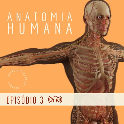 ANATOMIA: Movimentos e variação anatômica