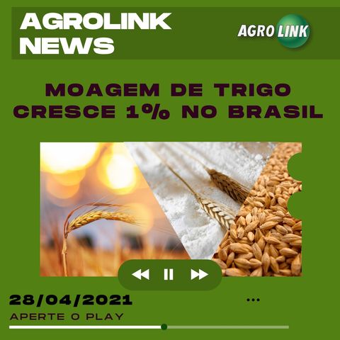 Podcast: Cresce a moagem de trigo no Brasil
