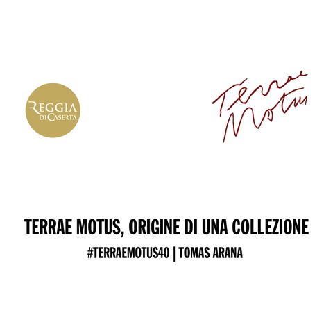 #TerraeMotus40 | Tomas Arana | Terrae Motus, origine di una Collezione