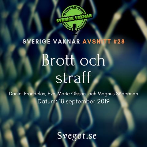 28. Brott och straff