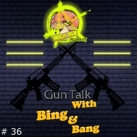 Episode 36: Gun Talk, with Bing and Bang