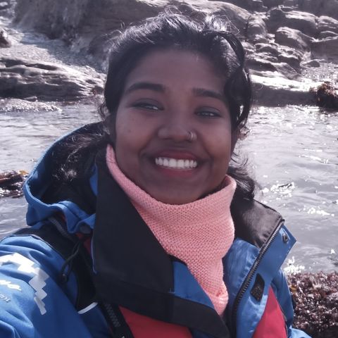 The story behind a Trini PhD Student and Irish Sea Moss