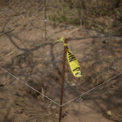 Colectivo reporta hallazgo de 18 cuerpos en fosas de Sonora