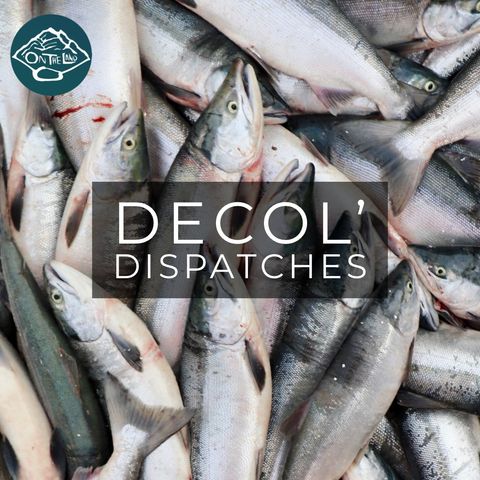 Decol’ Dispatch: COVID19 x Salmon Season 2020 w/Scotty Savo