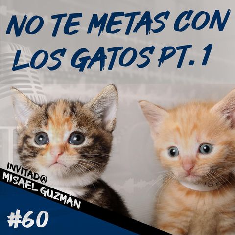 Episodio 60 - No Te Metas Con Los Gatos Pt.1