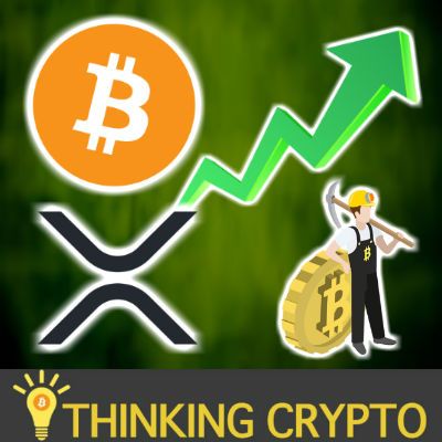 BITCOIN MINING Profitable Again - Bitcoin Bull Market? - XRPTipBot European Banking License! - 0x, Pundi X, Holochain & Vechain Portfolio