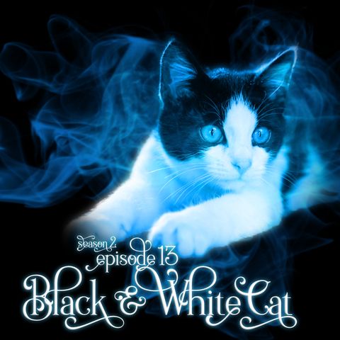 S2E13: Black & White Cat