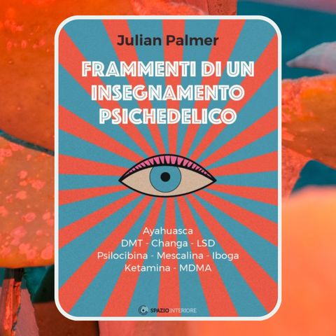 Episodio 78 - Frammenti di un insegnamento psichedelico di Julian Palmer