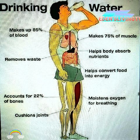 HEALTH BENEFITS OF DRINKING WATER, Ch 57 ATLANTA