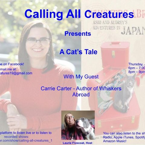 Calling All Creatures Presents A Cat's Tale