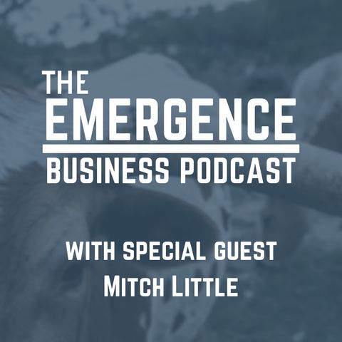 More than an Academic Pursuit with Mitch Little of Scheef & Stone
