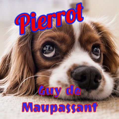 Pierrot, Guy de Maupassant (Livre audio)