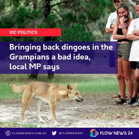 Bringing back dingoes in the Grampians - @LouiseStaleyMP / @LouiseStaley objects
