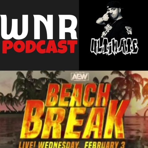 WNR330 AEW BEACH BREAK