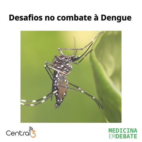 Desafios no combate a dengue