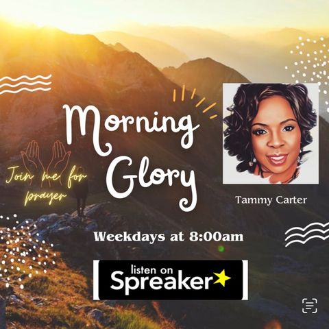 Morning Glory