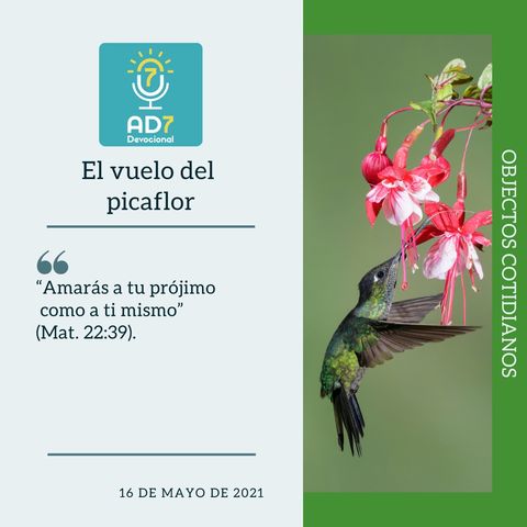 16 de mayo - El vuelo del picaflor - Devocional de Jóvenes - Etiquetas Para Reflexionar