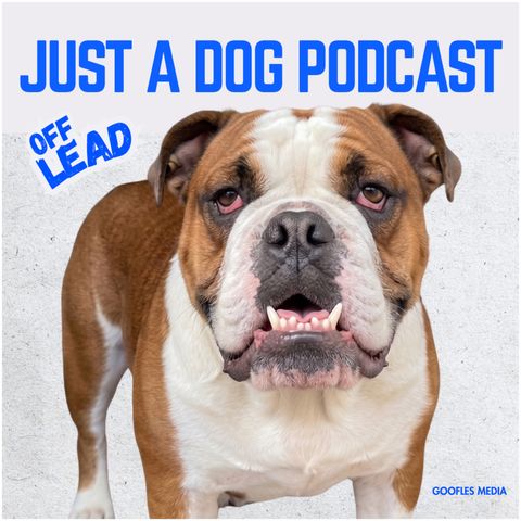 Off Lead | Hello, Maggie.