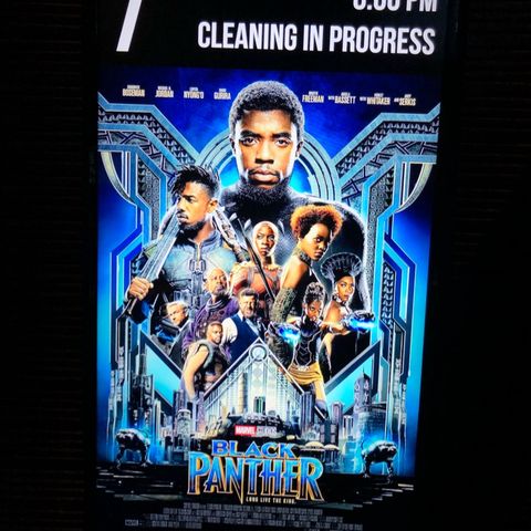 The movie Black Panther pt1