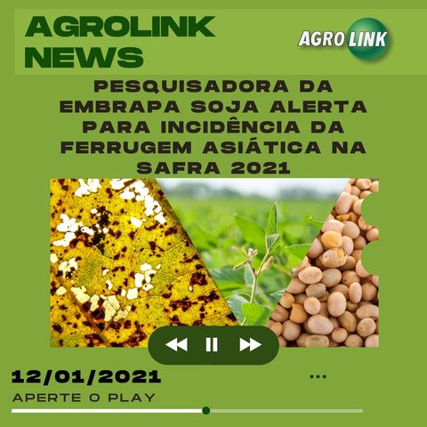 Agrolink News - Destaques do dia 12 de janeiro