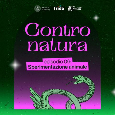 6. Sperimentazione animale