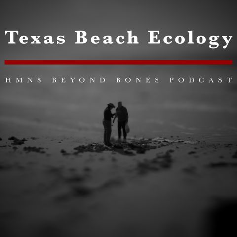 Texas Beach Ecology, with HMNS Malacology/Marine Invertebrate Curator Tina Petway & Asst. Mar Carranza