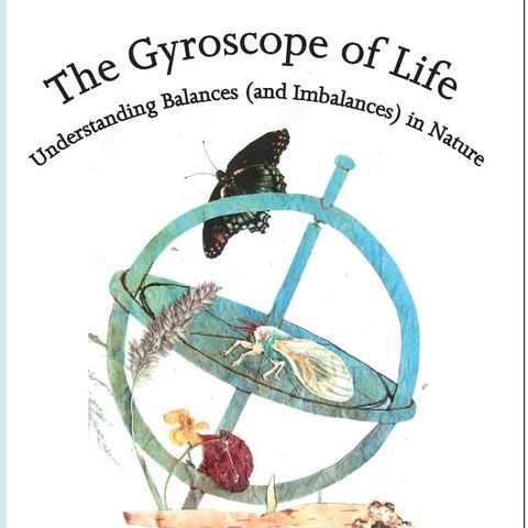 The Gyroscope of Life - Naturalist David Parrish on Big Blend Radio