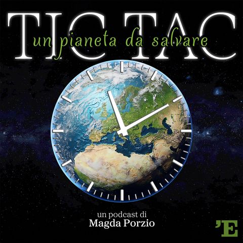 18 - TIC TAC UN PIANETA DA SALVARE - NOVEL FOOD IL CIBO DEL FUTURO -  MAGDA PORZIO