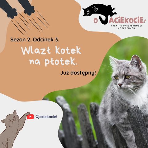 S2E3 - Wlazł kotek na płotek.