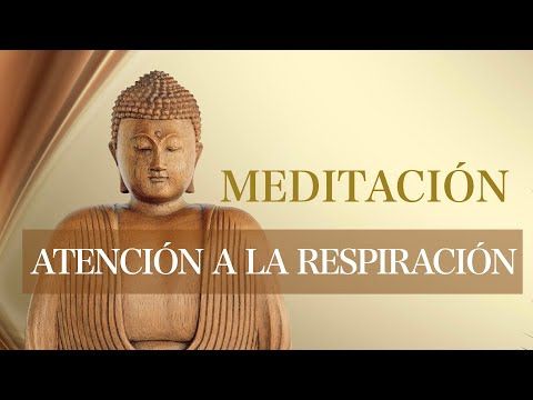 130. Meditación Mindfulness Atención a la Respiración para Calmar Cuerpo, Mente y Emociones