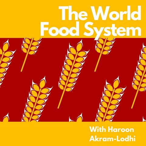 EP 06 Crisis and the demand for food PT 3: Crisis in the supply of food