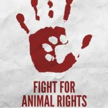 do animals have rights and are the animal rights activists going too far?
