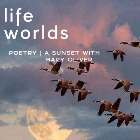 Poetry | A Sunset with Mary Oliver