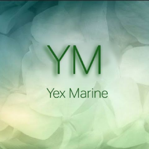 ACCA (SBL) Yex Marine (Preseen) Part 1