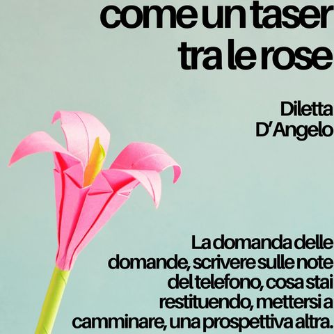 Diletta D'Angelo