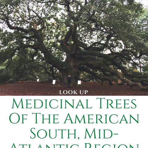 Show 35:  Medicinal Trees, and My New Book!