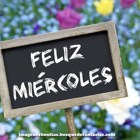 ¡Miércoles gris, programa soleado!