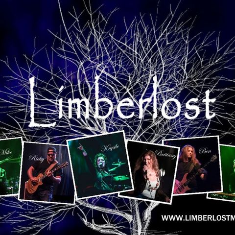 Limberlost - See What You Want