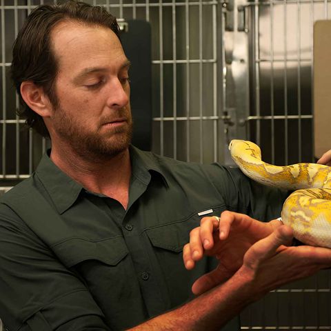 Jeremy Brandt's Job Bites - Human Medicines That Aren't Safe For Pets