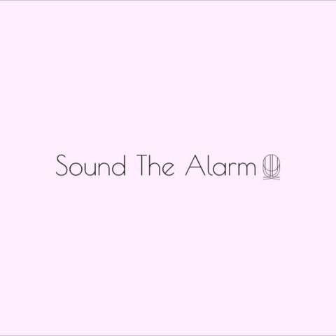 Introduction to SOUND THE ALARM🤓