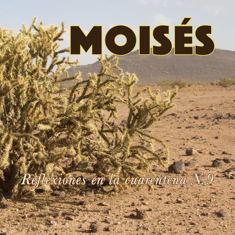 Moisés (Reflexiones en la cuarentena N.9)